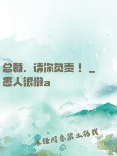 总裁，请你负责 ！